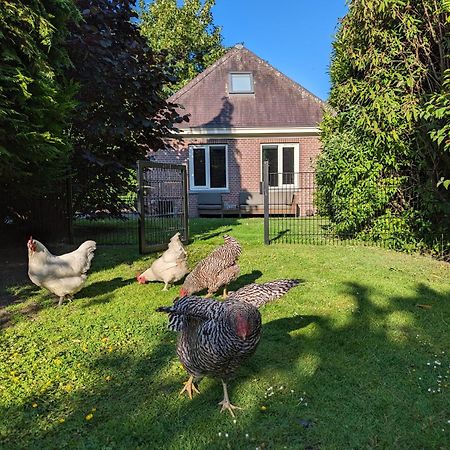 Boutique B&B Villa Van Voss Etten-Leur Exterior photo