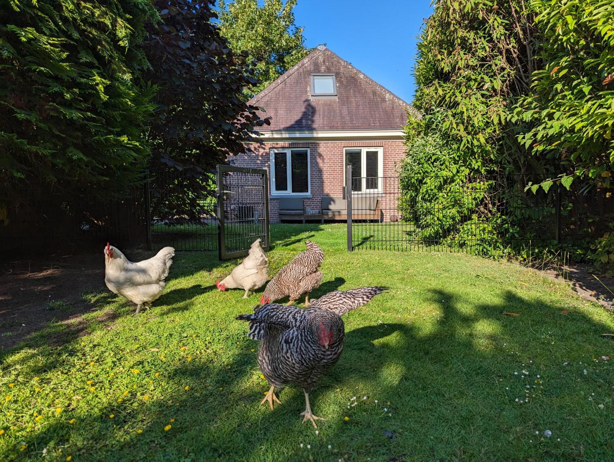 Boutique B&B Villa Van Voss Etten-Leur Exterior photo